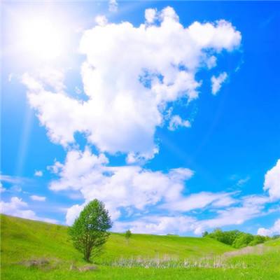 刀剑圣域手游汉朝互娱版(暂未上线)v1.4.1 安卓版