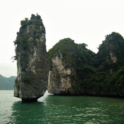 海南推进热带雨林国家公园建设
