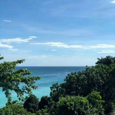 tunesholic中文版下载