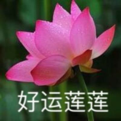 蓝月至尊版官方正版下载